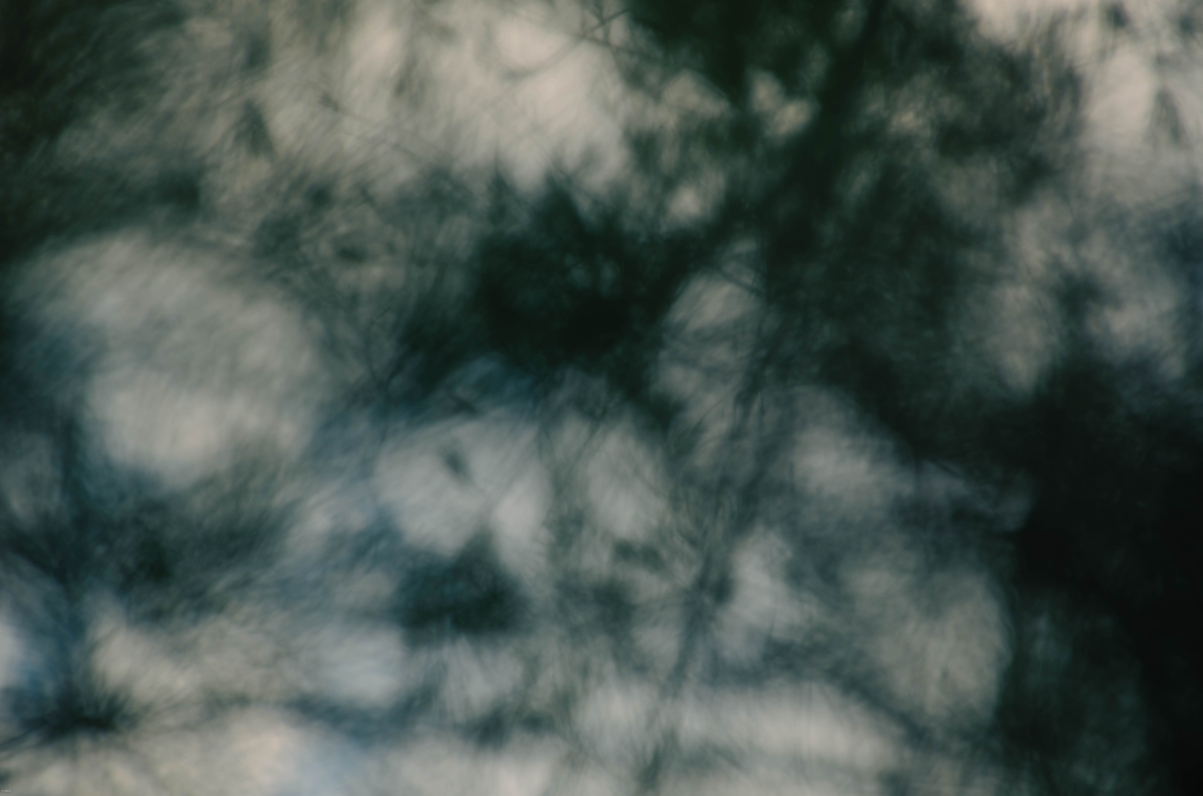 Ascent Lumina